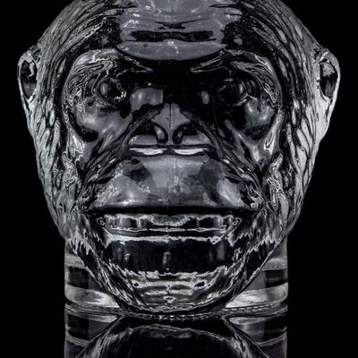 Uniek ontwerp 500 ml 750 ml aapkopvormige glazen fles voor wodka drank met kurk